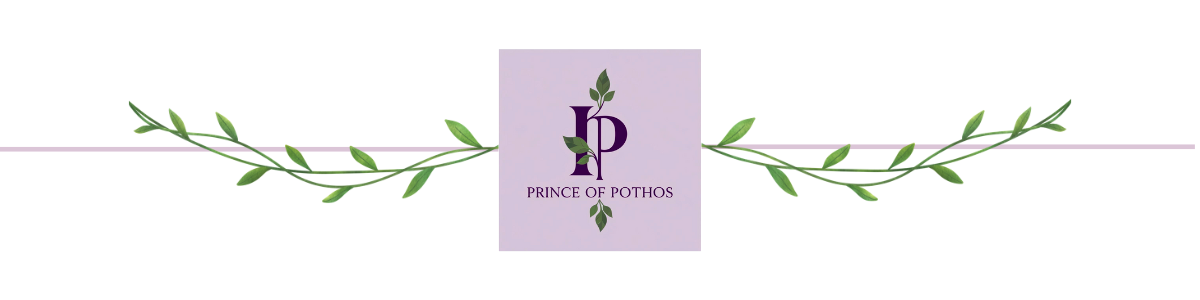 Prince of Pothos